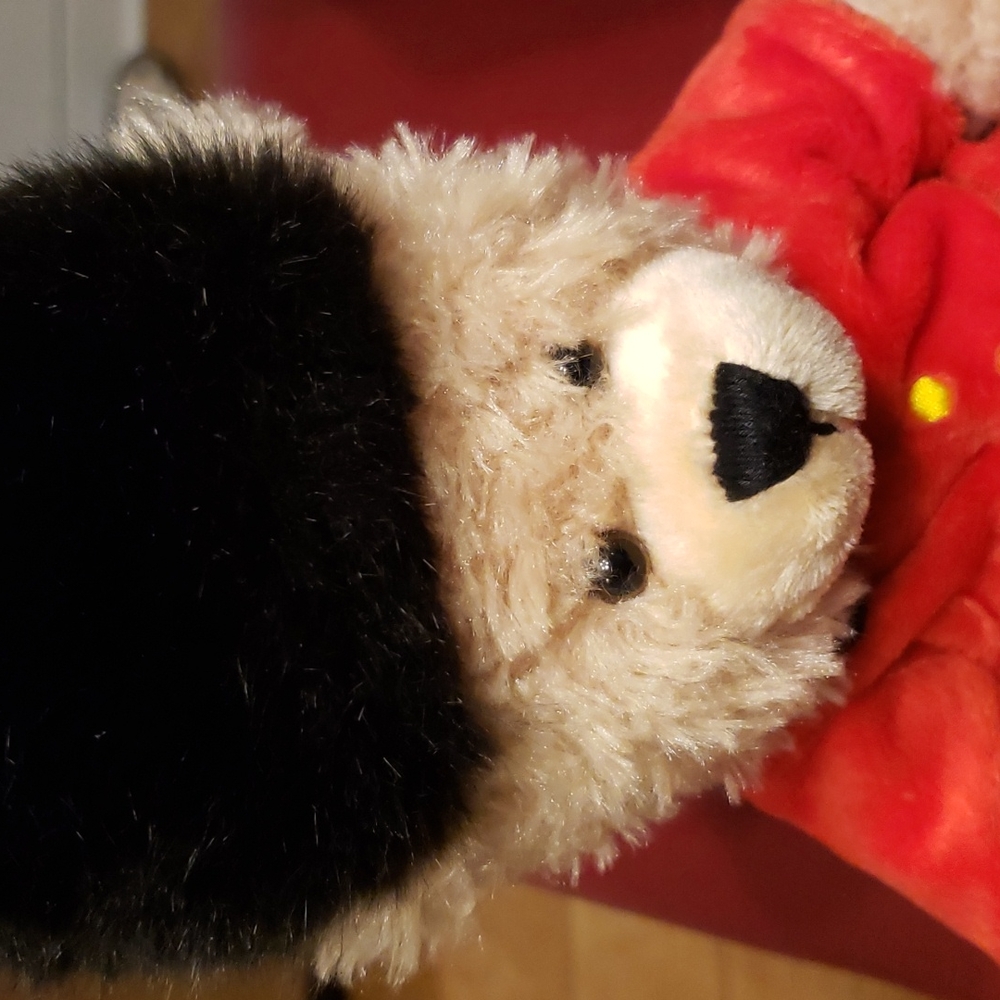 Bear - Picture 5 of 5